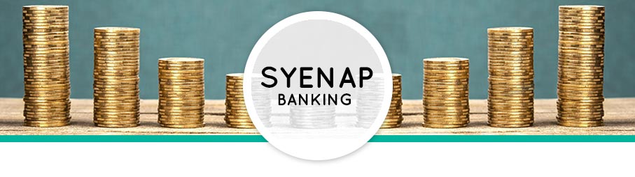 Syenap-Banking2