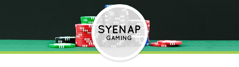 Syenap-Gaming2