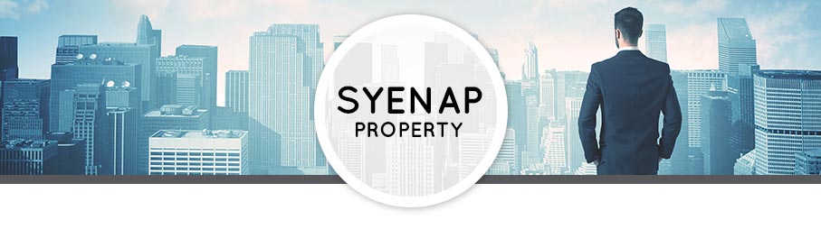 Syenap-Property2